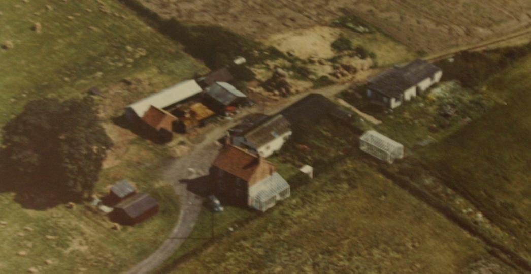 1964